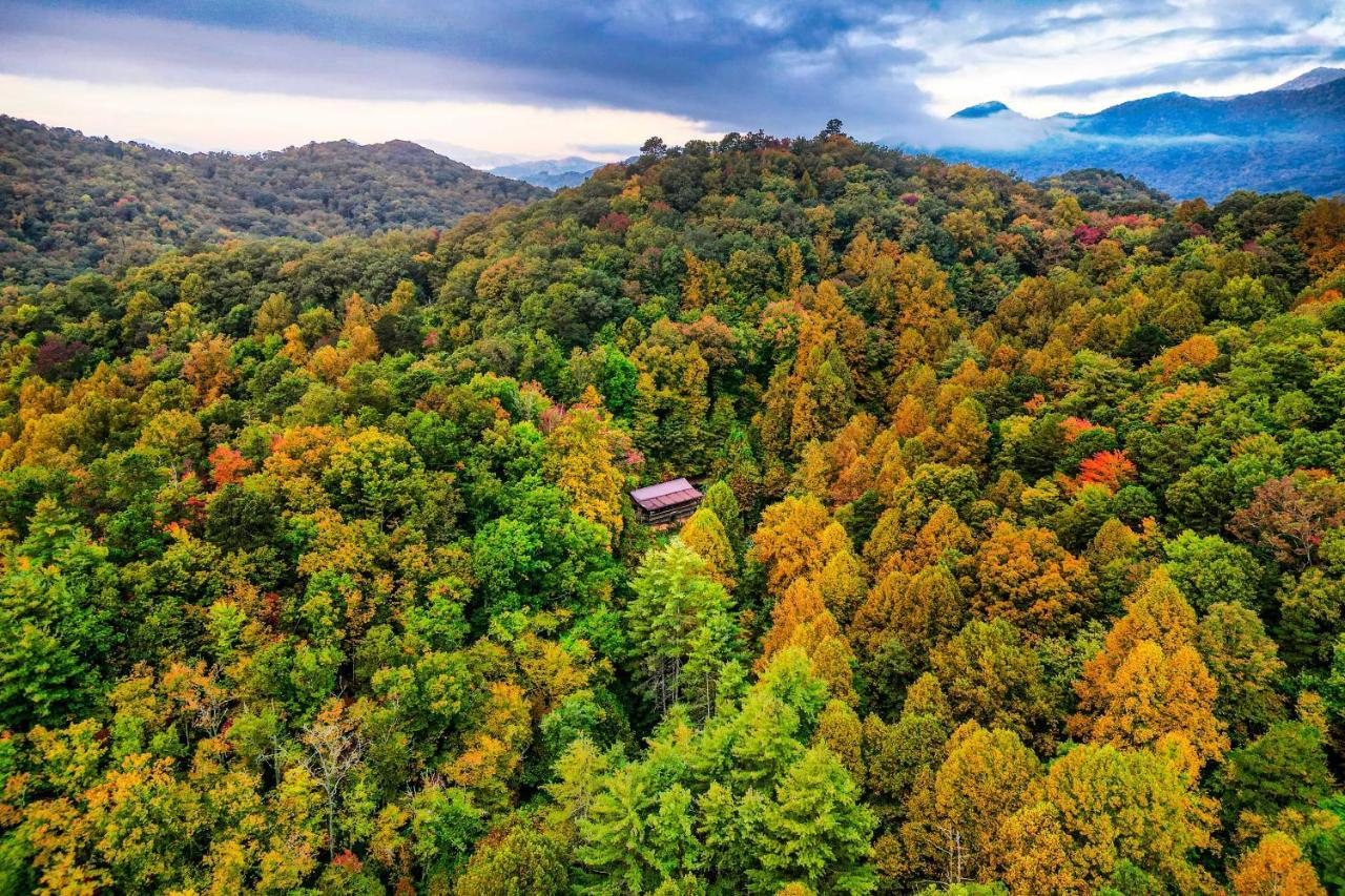 Willa Brysons Hidden Valley Ranch - Quiet Nc Cabin! Bryson City Zewnętrze zdjęcie